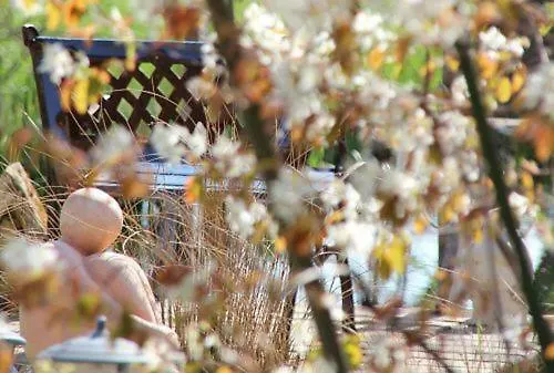 Dr. Vera Schmidt Apartman *