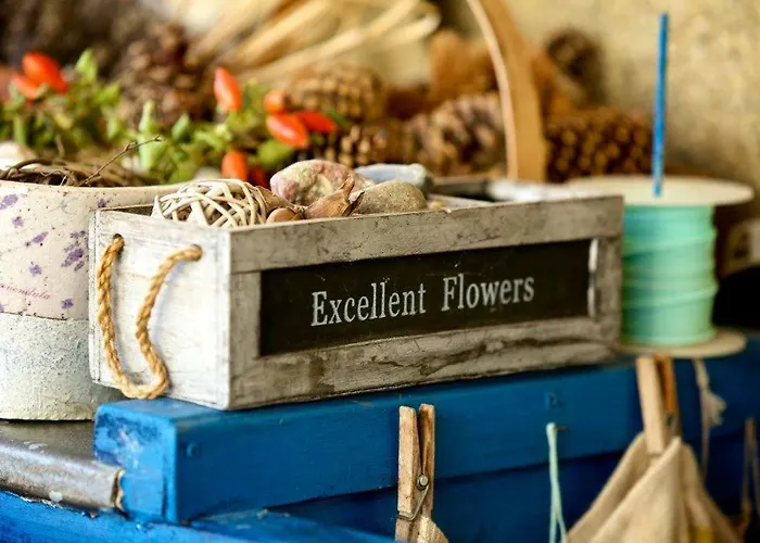 Apartman Dr. Vera Schmidt *